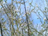 Klik op de foto voor groter formaat